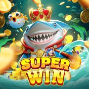 6686bet